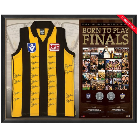 Hawthorn Back to Back 1988-1989 Premiers Signed Jumper Framed - 3706