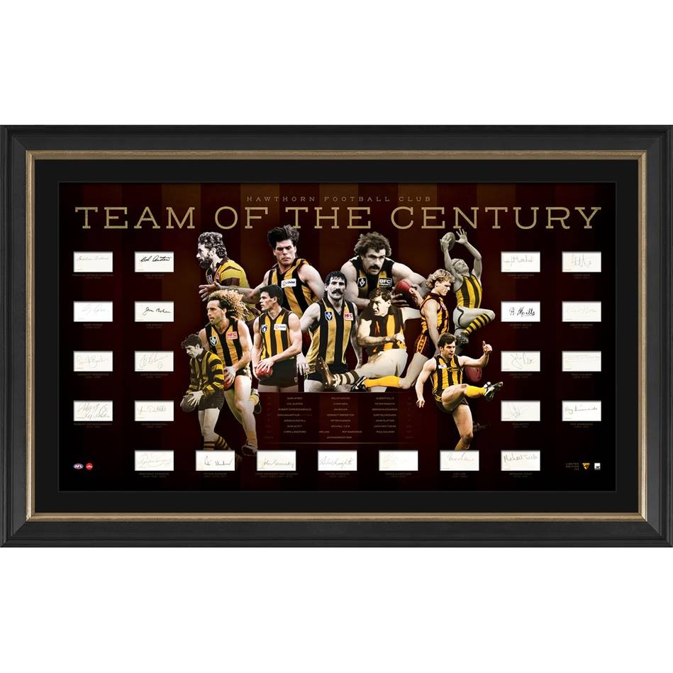 Hawthorn Team of the Century Signed Lithograph Official Afl Print Framed - 4394