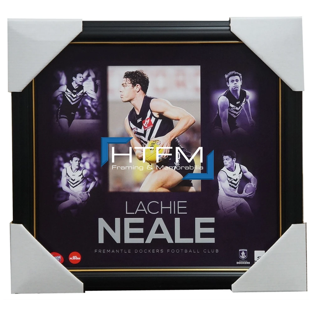Lachie Neale Fremantle Dockers Official Afl Montage 2015 Print Framed Brand New - 2542