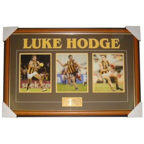 Luke Hodge Hawthorn Signed Photo Framed Collage - 4414