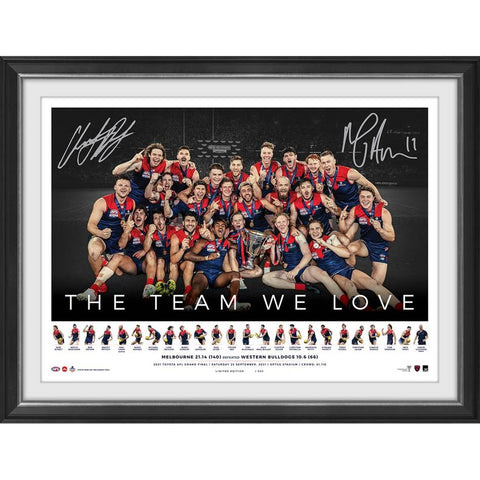 Melbourne Demons 2021 AFL Premiers Dual Signed ICON Series Framed Gawn Petracca - 4889