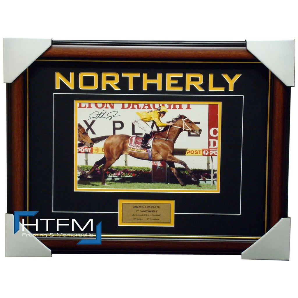 Northerly Signed Horse Racing Photo Framed by Jockey Patrick Payne - 1202