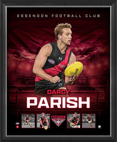 Darcy Parish Essendon F.C. Official Licensed AFL Print Framed New - 4782