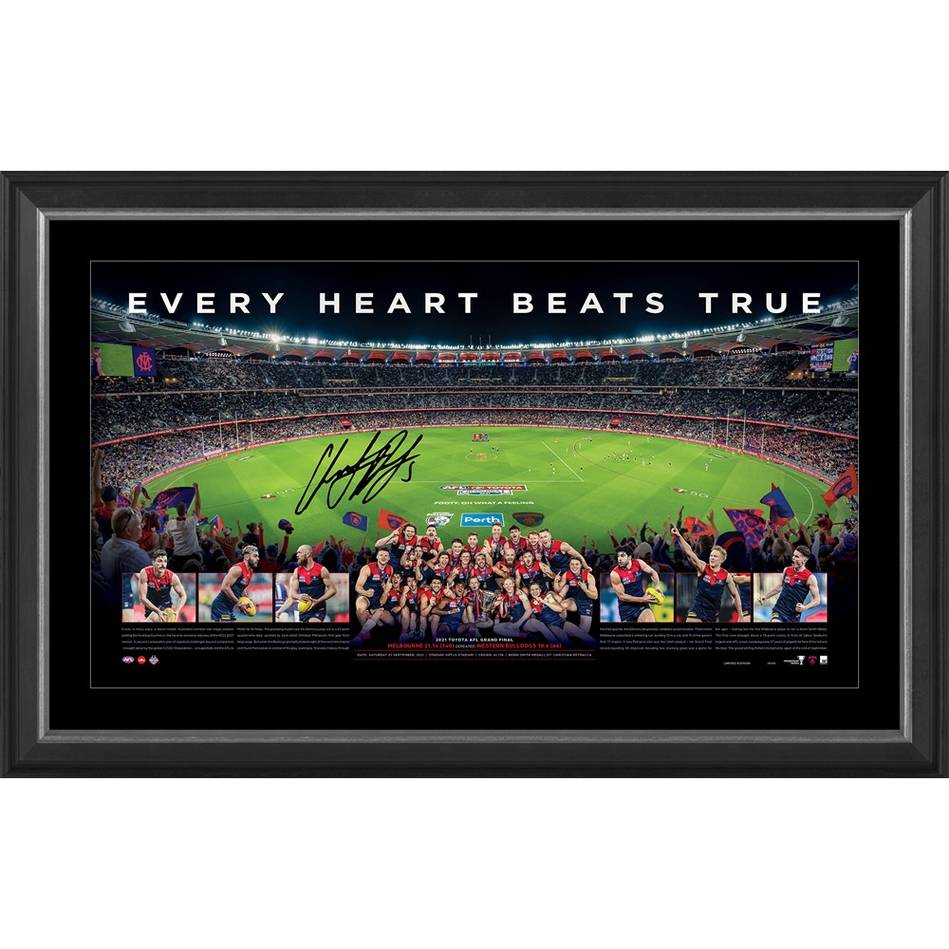 Melbourne Demons 2021 AFL Premiers Panoramic Signed Christian Petracca Official Print Framed - 4880