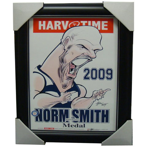 Paul Chapman 2009 Premiers Geelong Norm Smith Medallist L/e Print Framed - 1518