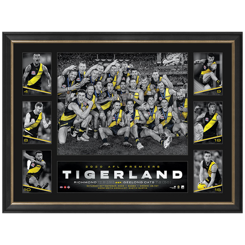 Richmond 2020 Afl Premiers Official Tribute Frame - 4669