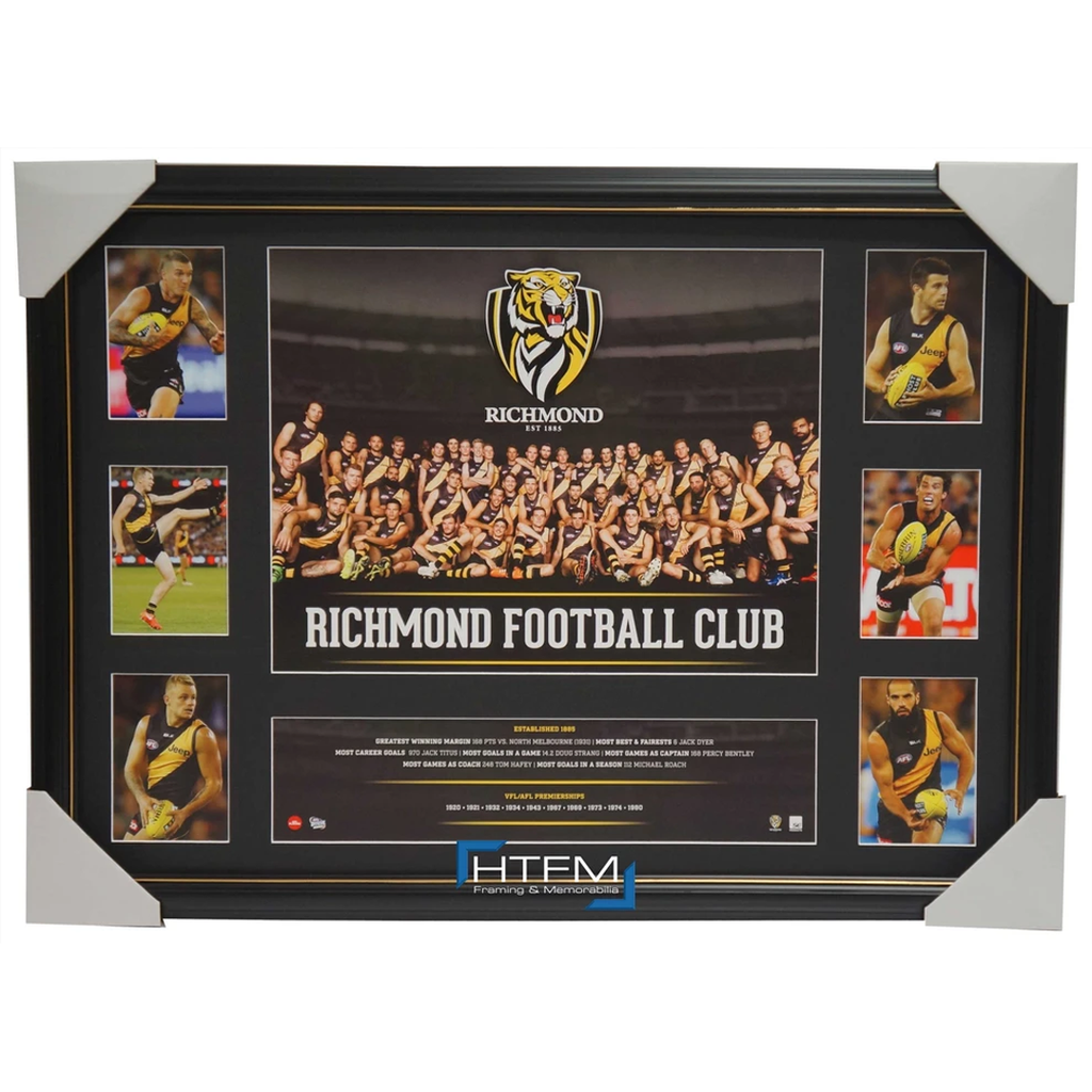 Richmond Tigers 2016 Official Afl Team Premiergraph Super Frame Dustin Martin - 2862