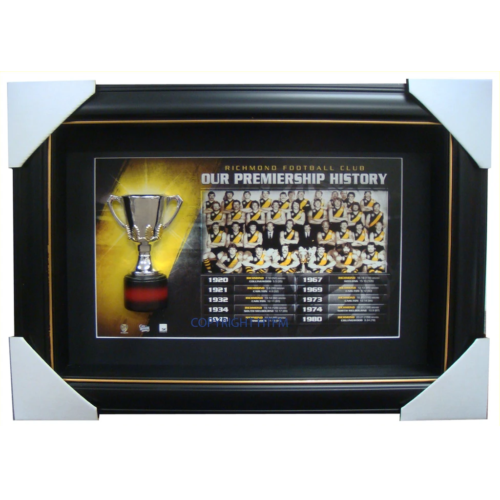 Richmond Tigers Limited Edition Premiership Box Framed with Replica Half Cup - 1500