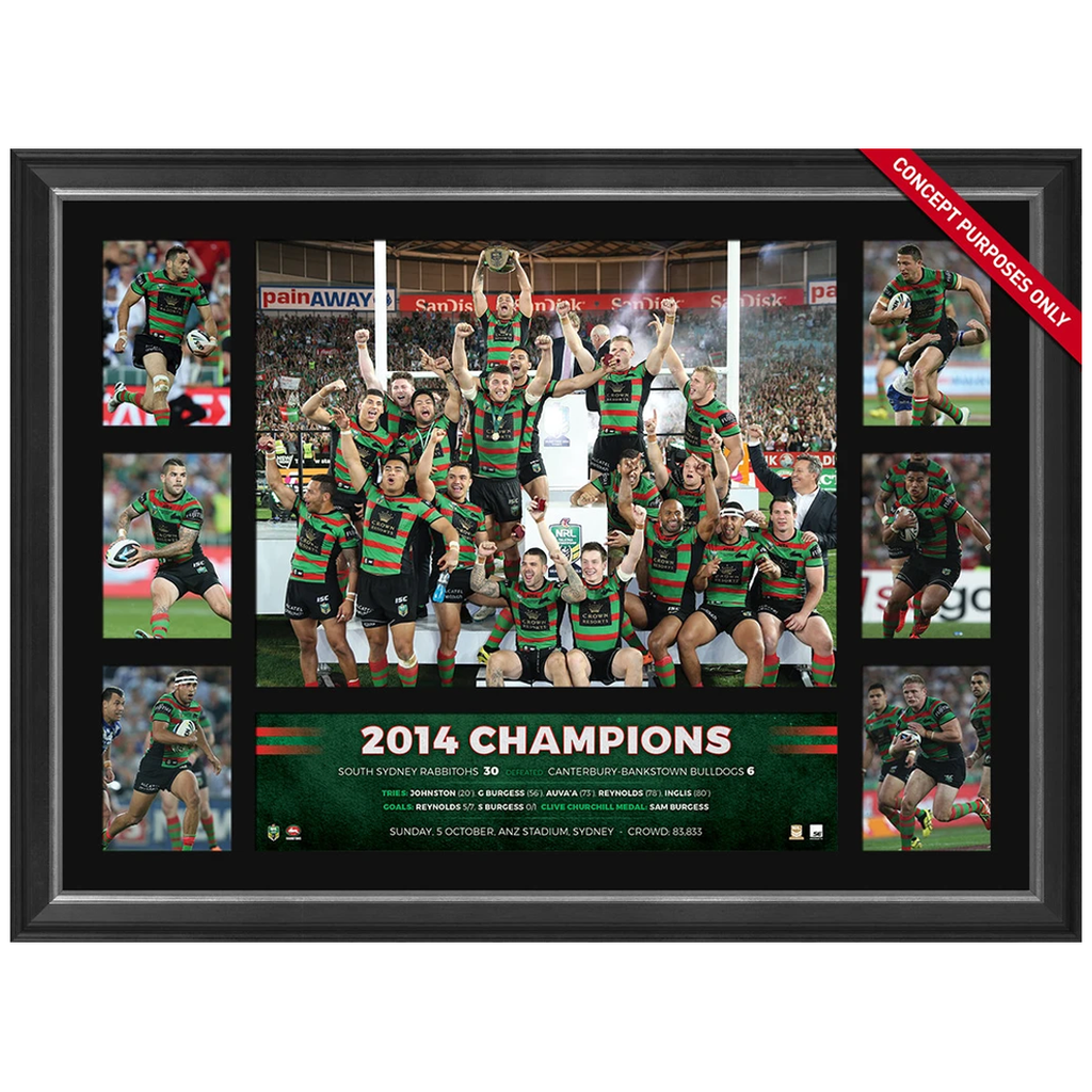 South Sydney Rabbitohs 2014 Nrl Premiers Deluxe Tribute Frame Inglis Burgess - 3071