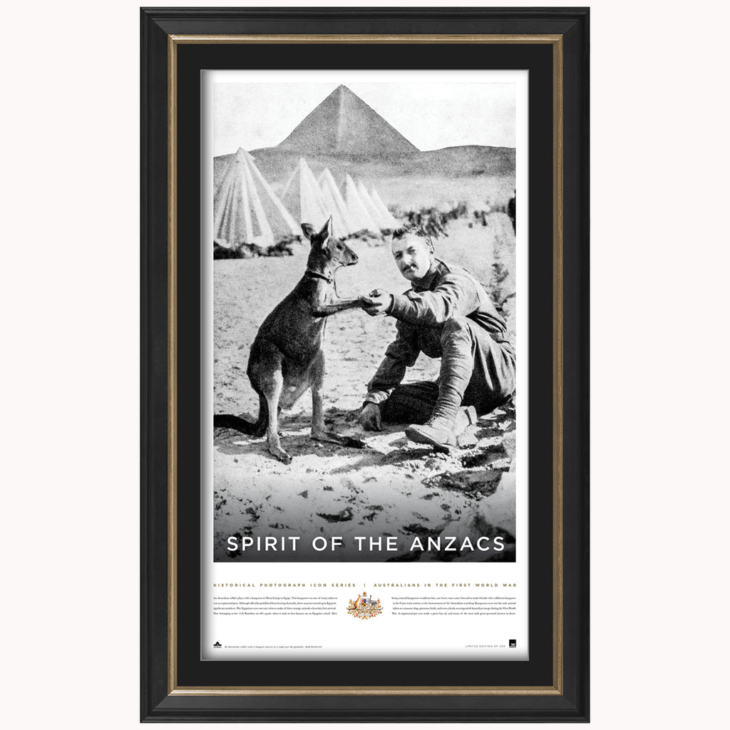 Spirit of the Anzacs Official Australian War Memorial Print Framed New - 3801