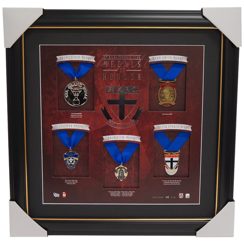 St Kilda Medals of Honour Official Replica Medals Framed Riewoldt Baldock - 1736