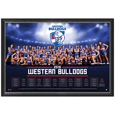 Western Bulldogs 2016 Official Afl Team Prints Framed Robert Murphy Jesse Stringer - 2734